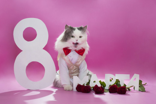 805074 (a): :3950x2629